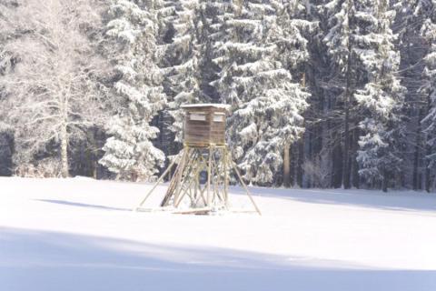 Forsthaus Luchsenburg Ohorn